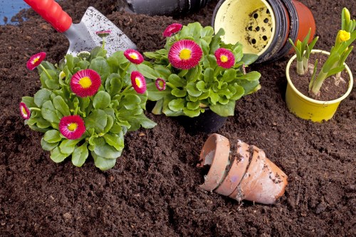 Gardener working on a front garden in Newham
