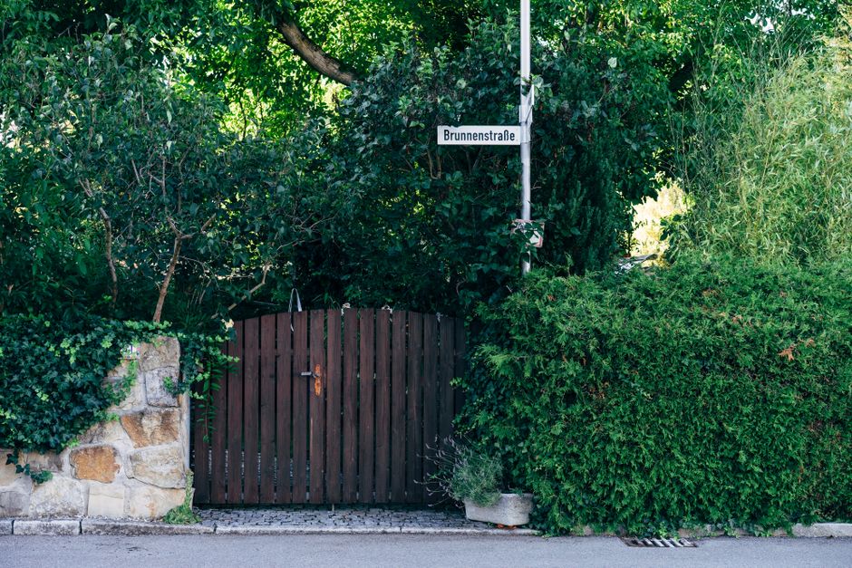 A narrow garden pathway made of rectangular grey paving stones stretches into the distance, bordered by lush, overgrown garden beds on both sides. On the left, various plants with green foliage and sm